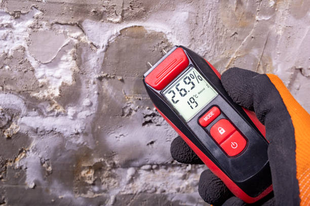 Best Affordable Mold Removal  in Cypress, CA